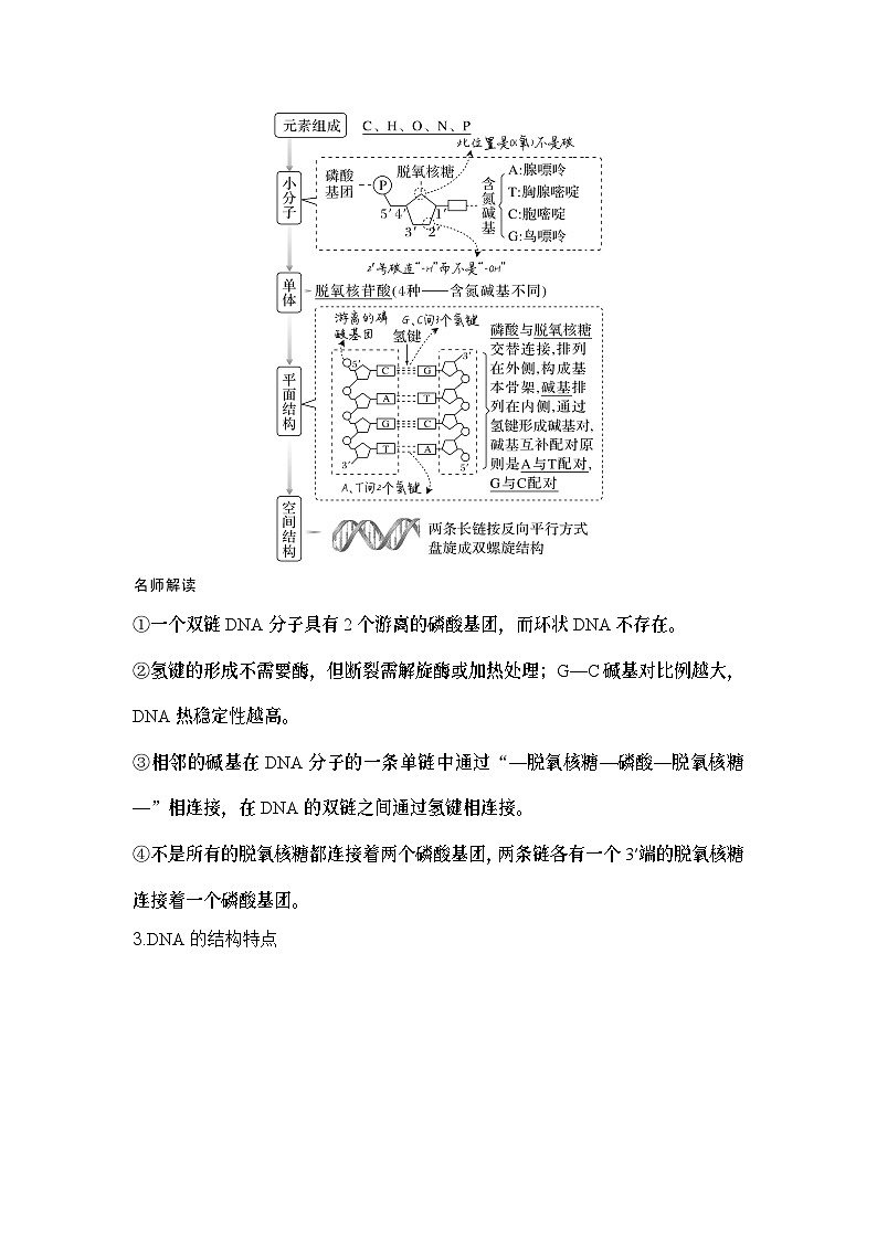 2024年高考生物大一轮必修2复习讲义：：第23讲　DNA的结构、复制及基因的本质第2页