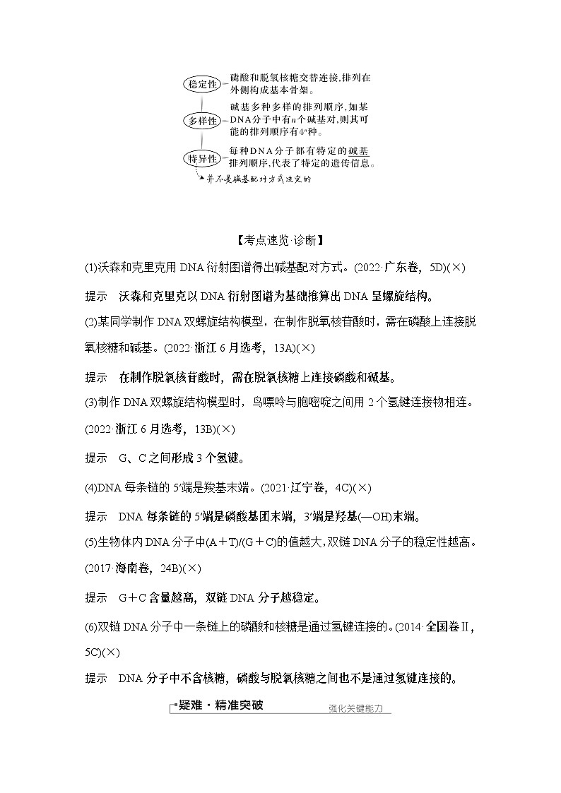 2024年高考生物大一轮必修2复习讲义：：第23讲　DNA的结构、复制及基因的本质第3页