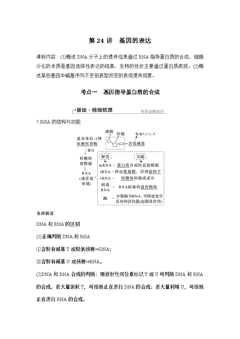 2024年高考生物大一轮必修2复习讲义：：第24讲　基因的表达第1页
