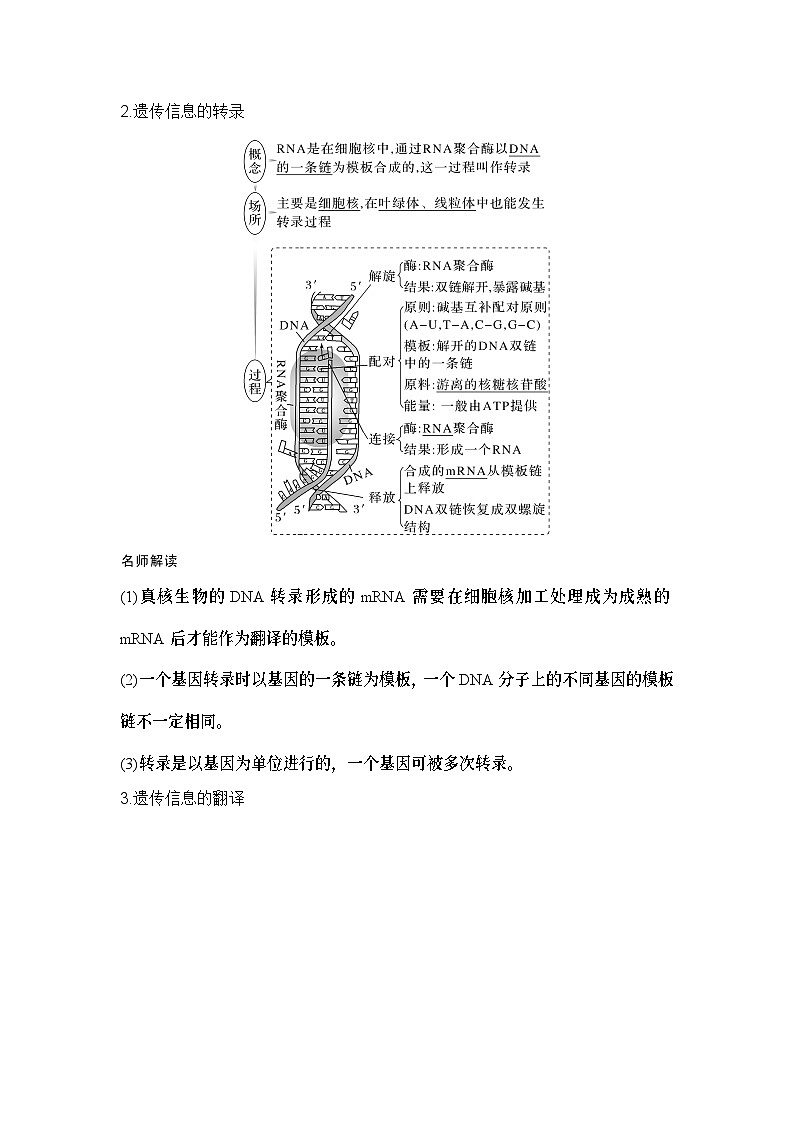 2024年高考生物大一轮必修2复习讲义：：第24讲　基因的表达第2页