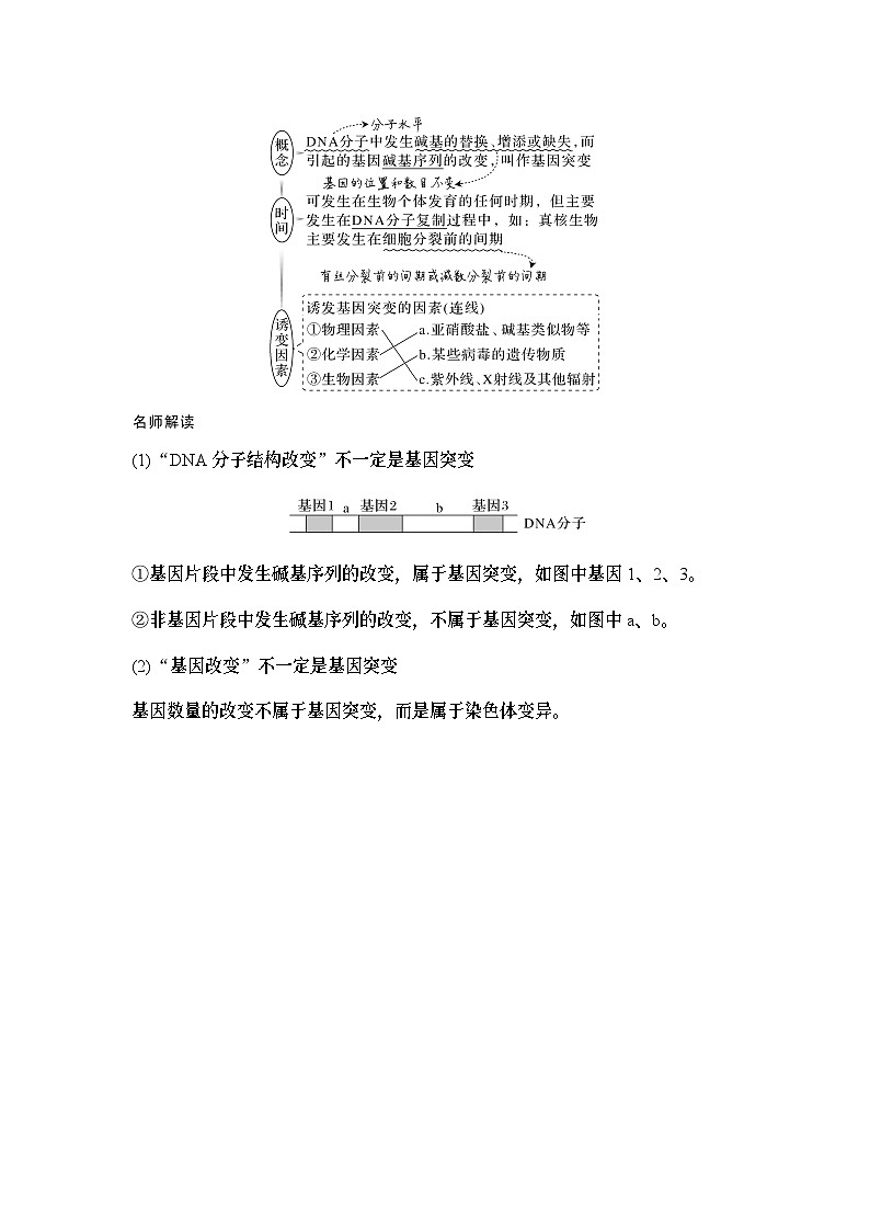 2024年高考生物大一轮必修2复习讲义：：第25讲　基因突变和基因重组第2页
