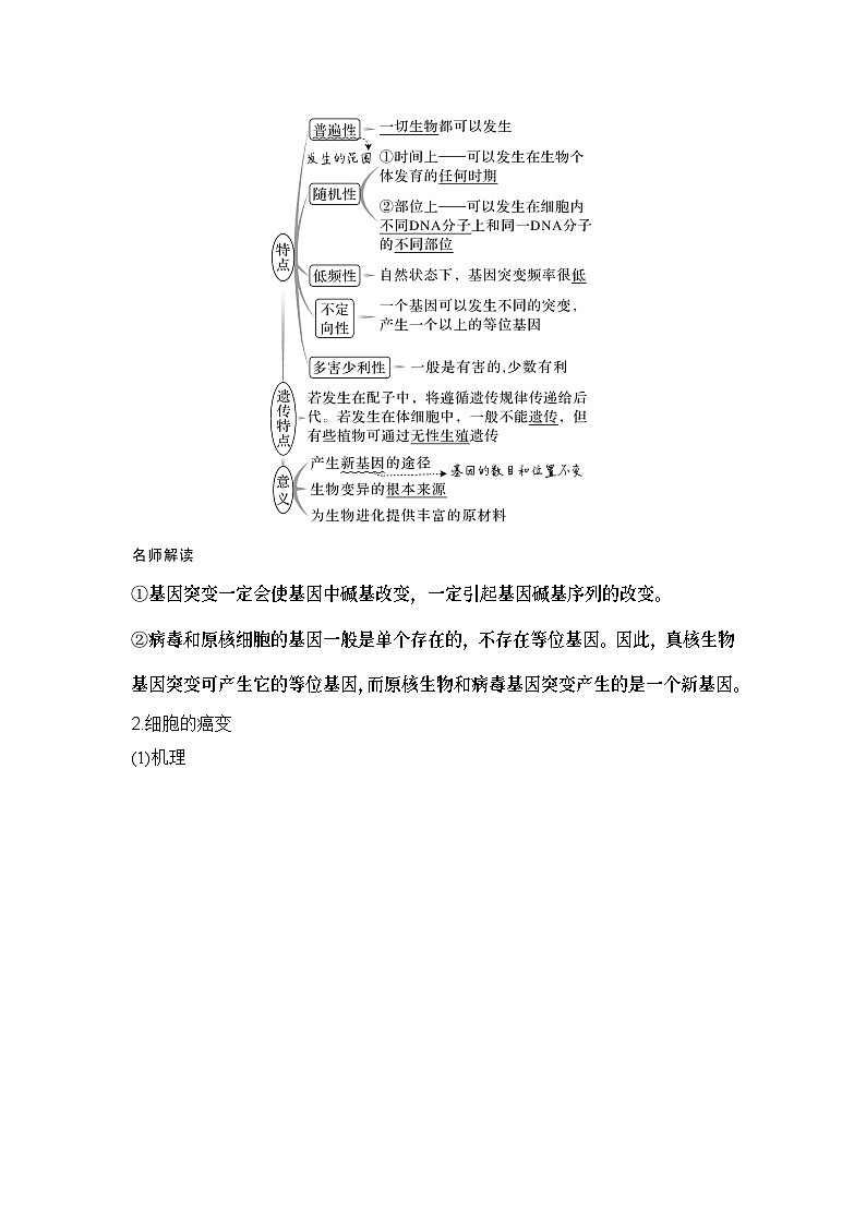 2024年高考生物大一轮必修2复习讲义：：第25讲　基因突变和基因重组第3页