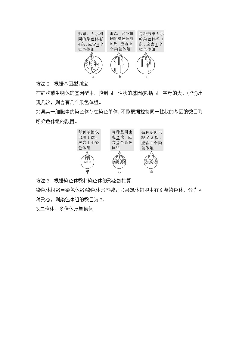 2024年高考生物大一轮必修2复习讲义：：第26讲　染色体变异第2页
