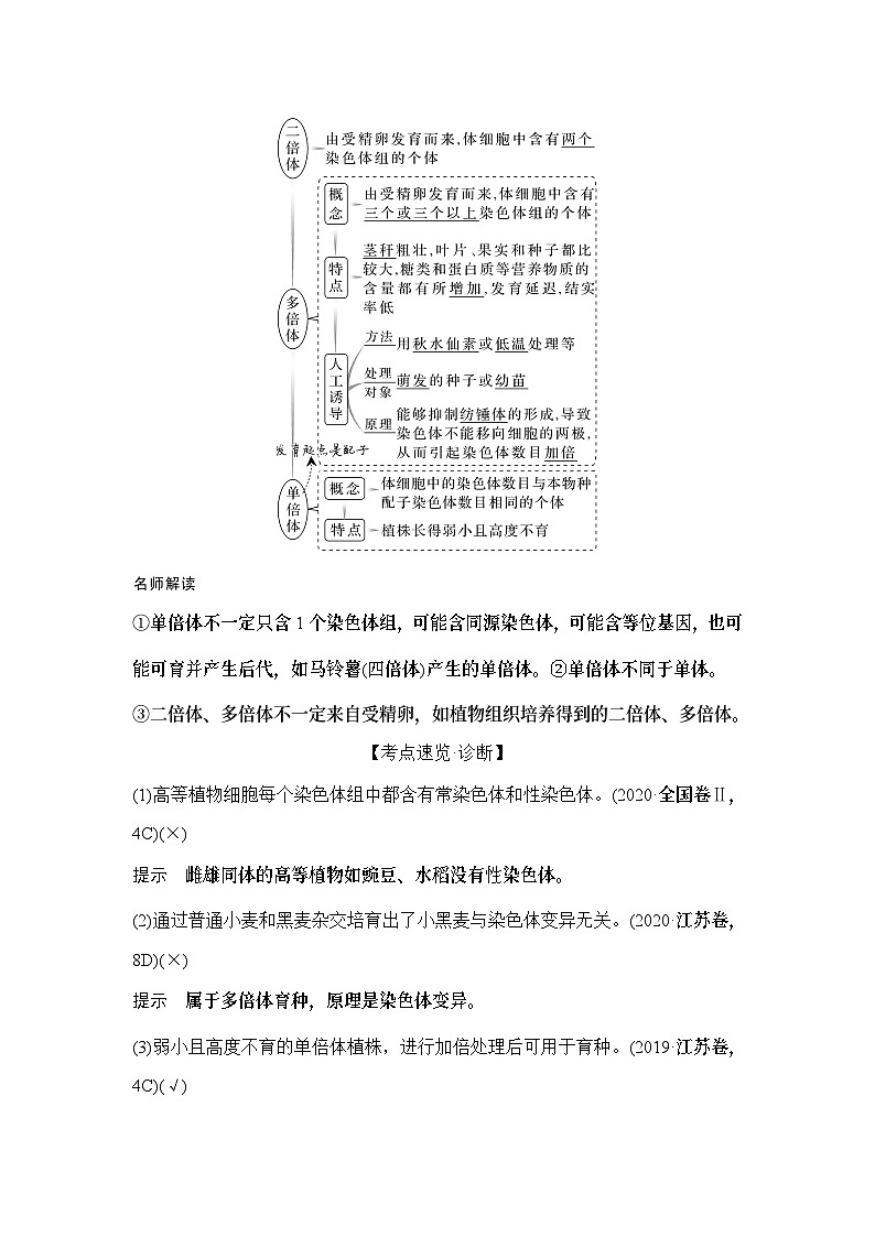 2024年高考生物大一轮必修2复习讲义：：第26讲　染色体变异第3页