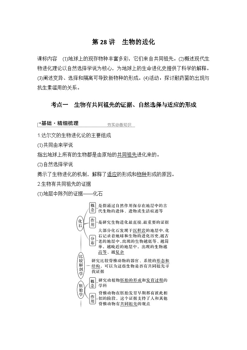 2024年高考生物大一轮必修2复习讲义：：第28讲　生物的进化第1页