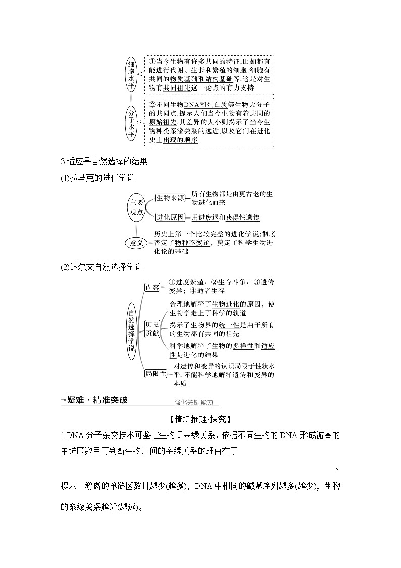 2024年高考生物大一轮必修2复习讲义：：第28讲　生物的进化第2页