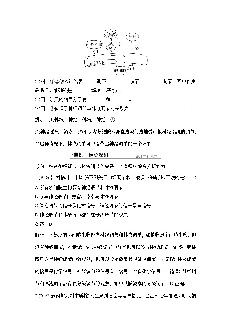 2024年高考生物大一轮选择性必修1复习讲义：第33讲　体液调节与神经调节的关系03