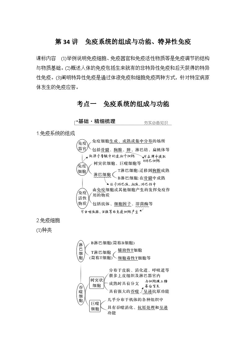 2024年高考生物大一轮选择性必修1复习讲义：第34讲　免疫系统的组成与功能、特异性免疫第1页