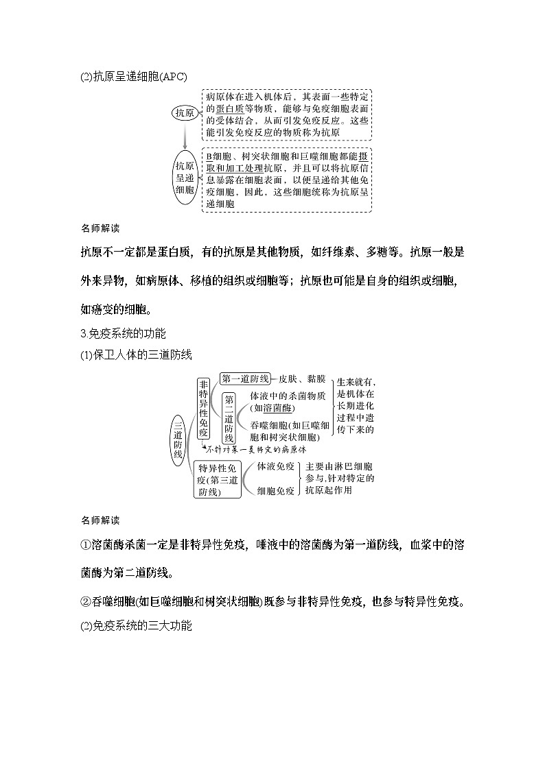 2024年高考生物大一轮选择性必修1复习讲义：第34讲　免疫系统的组成与功能、特异性免疫第2页