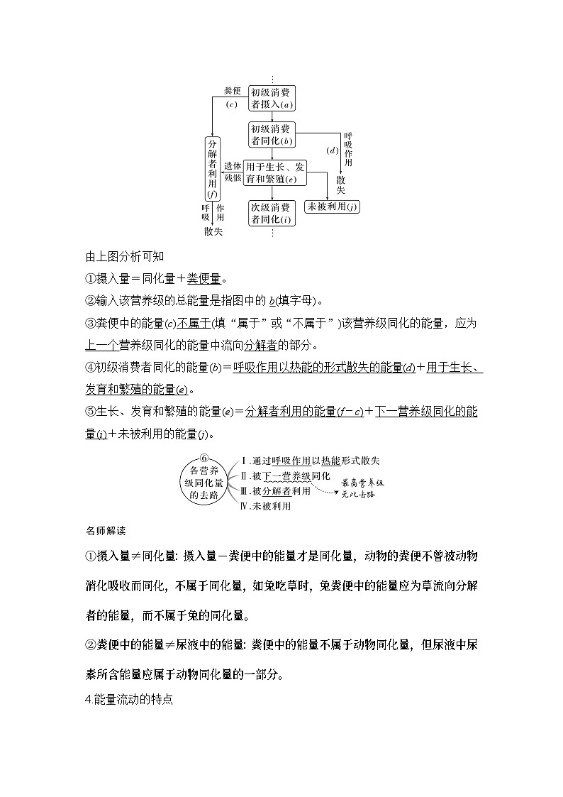 2024年高考生物大一轮选择性必修2复习讲义：第41讲　生态系统的能量流动第2页