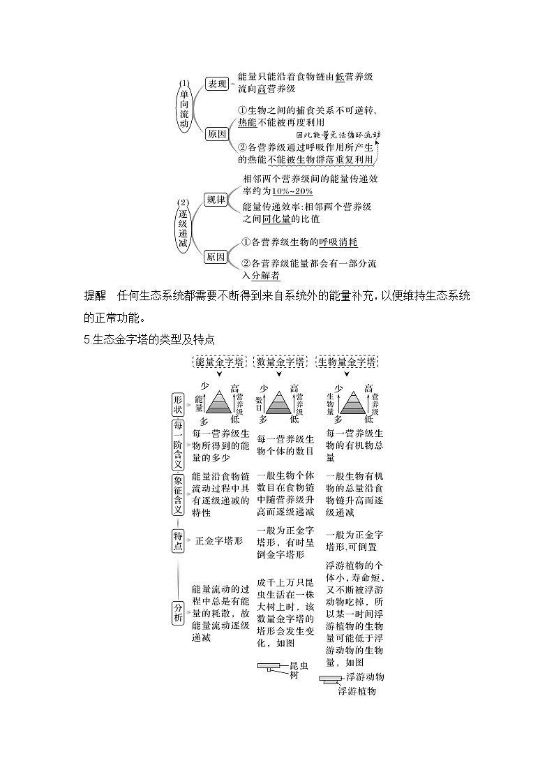 2024年高考生物大一轮选择性必修2复习讲义：第41讲　生态系统的能量流动第3页