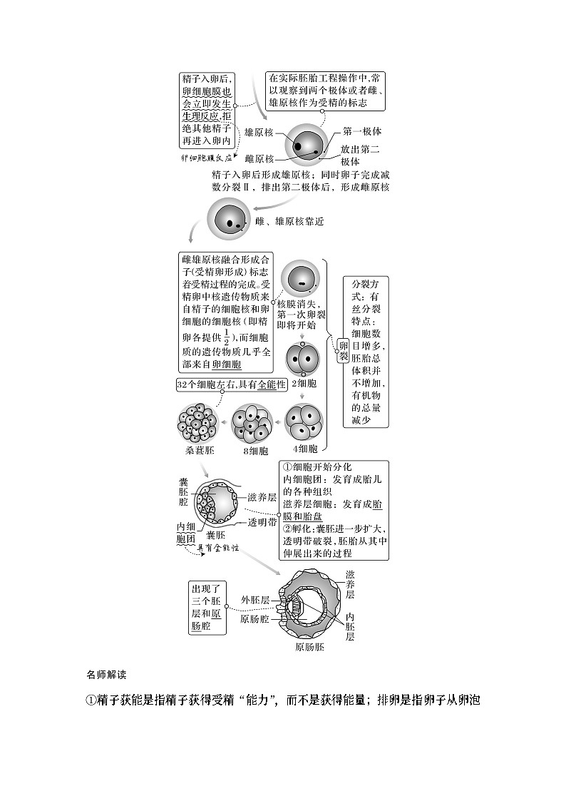 2024年高考生物大一轮选择性必修3复习讲义：第48讲　胚胎工程第2页
