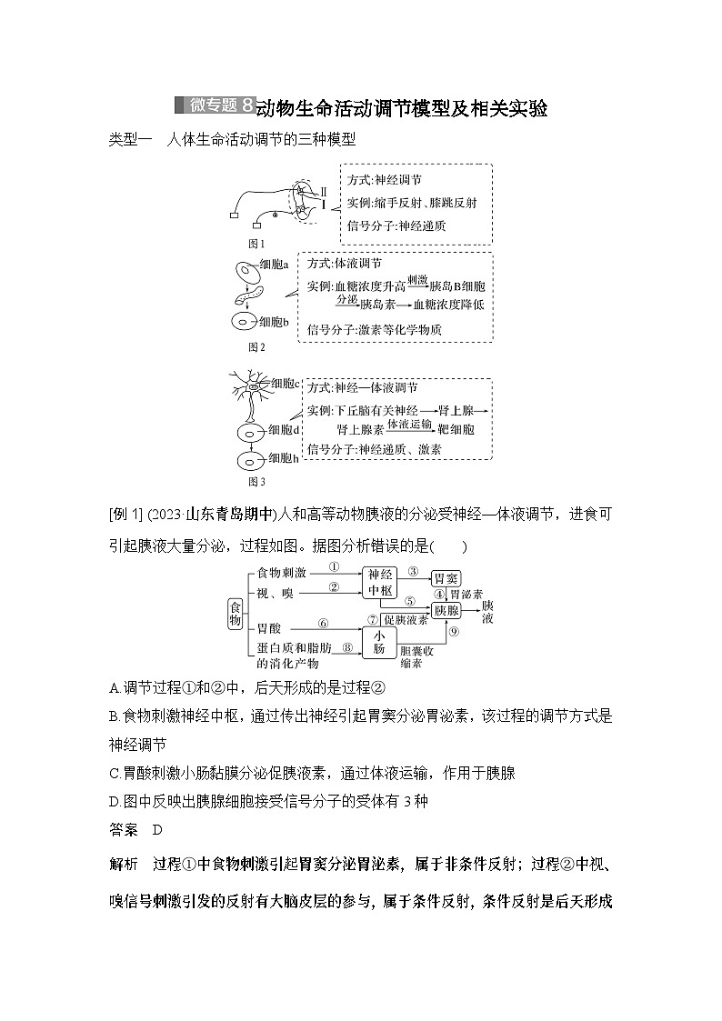 2024年高考生物大一轮选择性必修1复习讲义：微专题8 动物生命活动调节模型及相关实验第1页