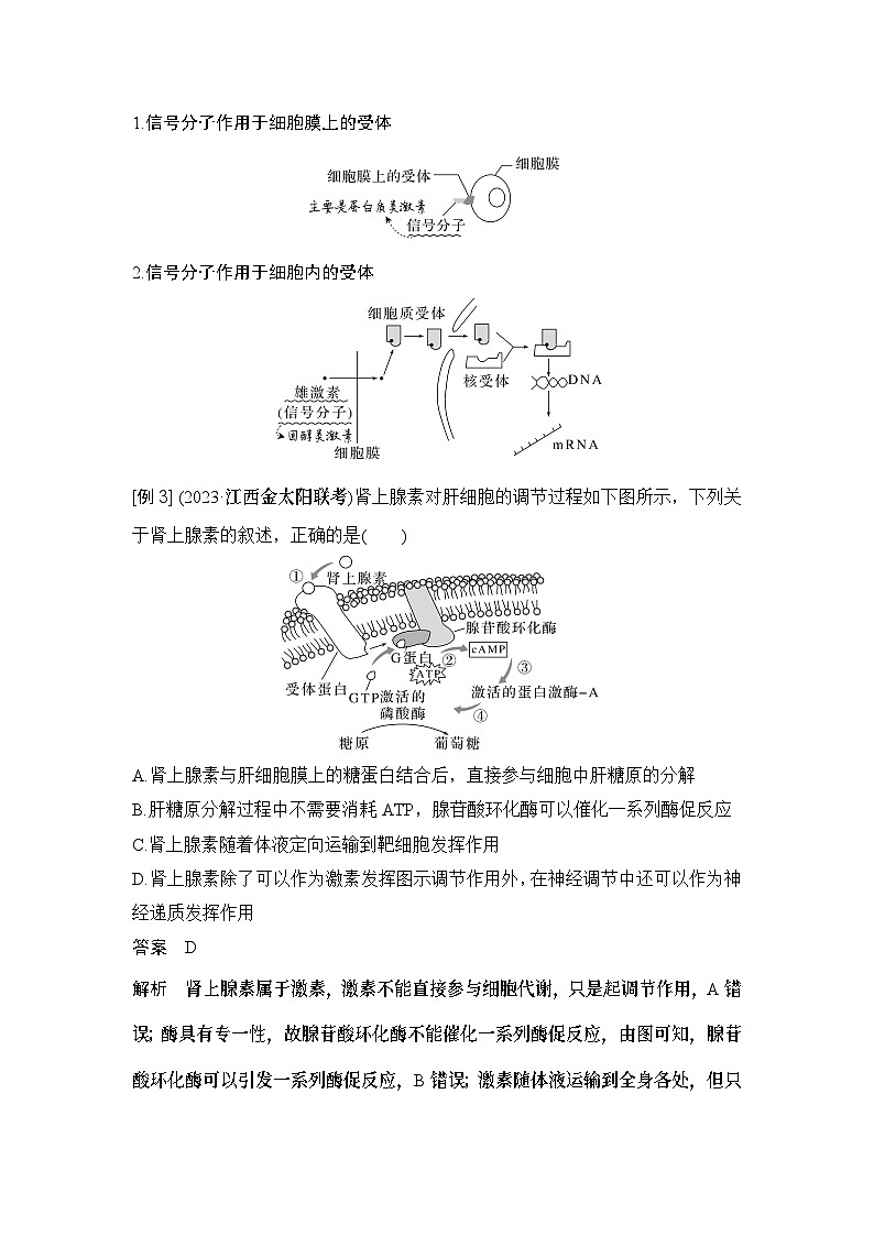 2024年高考生物大一轮选择性必修1复习讲义：微专题8 动物生命活动调节模型及相关实验第3页