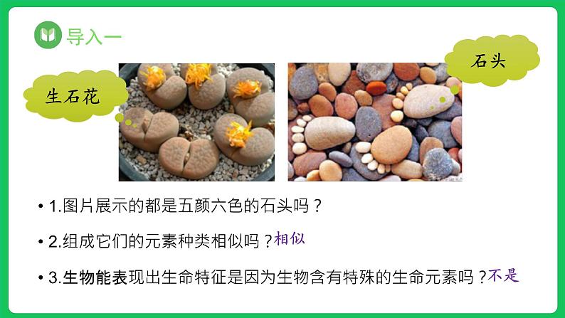 2.1 细胞中的元素和化合物（课件）-2023-2024学年高一上学期生物人教版（2019）必修1第2页