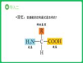 2.4.2 蛋白质是生命活动的主要承担者 第2课时（课件）-2023-2024学年高一上学期生物人教版（2019）必修1