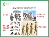 2.5 核酸是遗传信息的携带者（课件）-2023-2024学年高一上学期生物人教版（2019）必修1