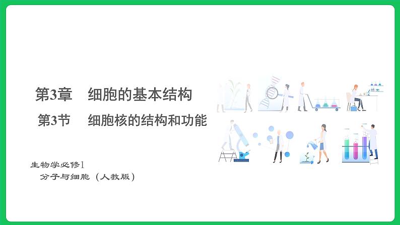 3.3 细胞核的结构和功能（课件）-2023-2024学年高一上学期生物人教版（2019）必修1第1页