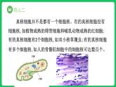 3.3 细胞核的结构和功能（课件）-2023-2024学年高一上学期生物人教版（2019）必修1