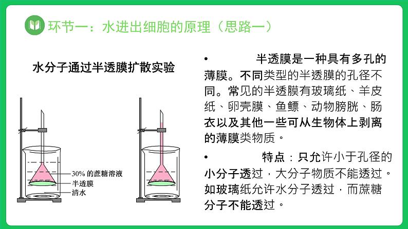 4.1.1 被动运输 第1课时（课件）-2023-2024学年高一上学期生物人教版（2019）必修104