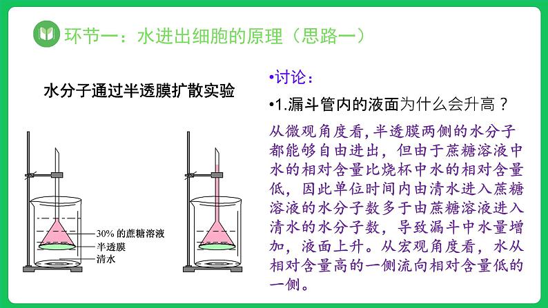 4.1.1 被动运输 第1课时（课件）-2023-2024学年高一上学期生物人教版（2019）必修105