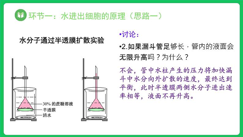 4.1.1 被动运输 第1课时（课件）-2023-2024学年高一上学期生物人教版（2019）必修106