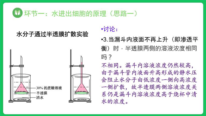 4.1.1 被动运输 第1课时（课件）-2023-2024学年高一上学期生物人教版（2019）必修107