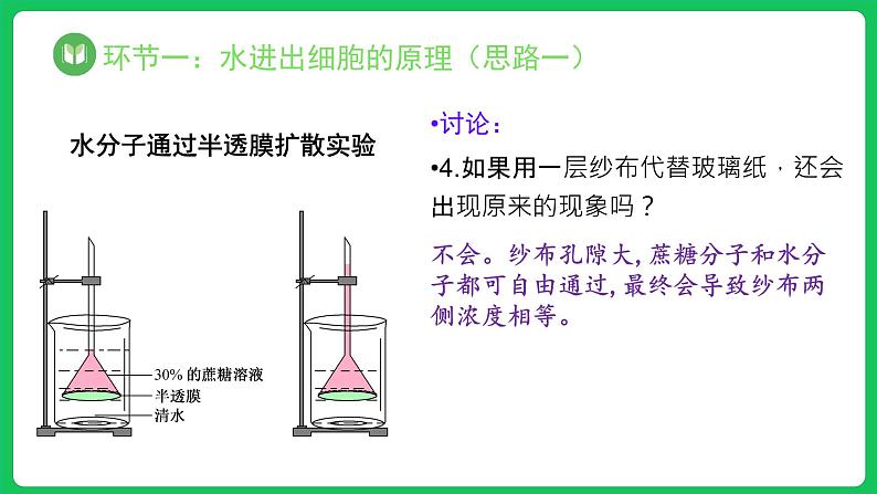 4.1.1 被动运输 第1课时（课件）-2023-2024学年高一上学期生物人教版（2019）必修108