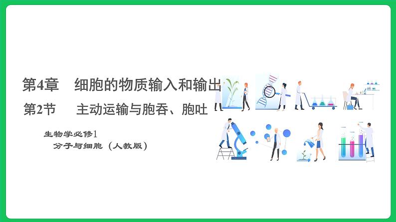 4.2 主动运输与胞吞、胞吐（课件）-2023-2024学年高一上学期生物人教版（2019）必修101