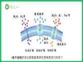 4.2 主动运输与胞吞、胞吐（课件）-2023-2024学年高一上学期生物人教版（2019）必修1