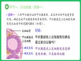 4.2 主动运输与胞吞、胞吐（课件）-2023-2024学年高一上学期生物人教版（2019）必修1