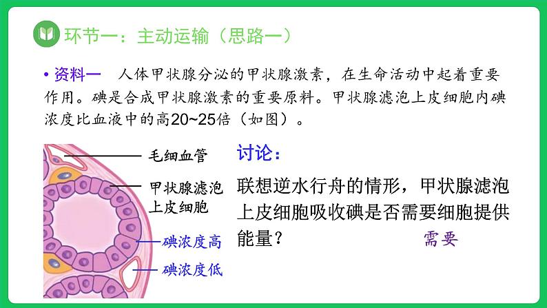 4.2 主动运输与胞吞、胞吐（课件）-2023-2024学年高一上学期生物人教版（2019）必修106