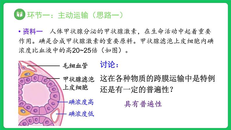 4.2 主动运输与胞吞、胞吐（课件）-2023-2024学年高一上学期生物人教版（2019）必修107