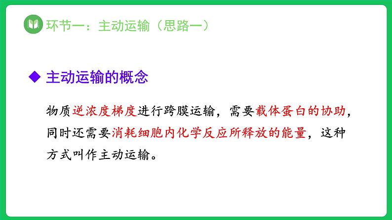 4.2 主动运输与胞吞、胞吐（课件）-2023-2024学年高一上学期生物人教版（2019）必修108