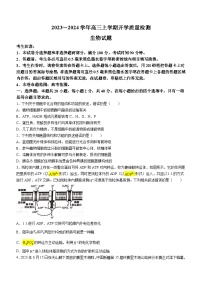 山西省吕梁市2023-2024学年高三上学期开学检测生物试题