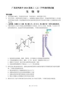 2024南宁武鸣高级中学高三上学期开学考试生物PDF版含答案