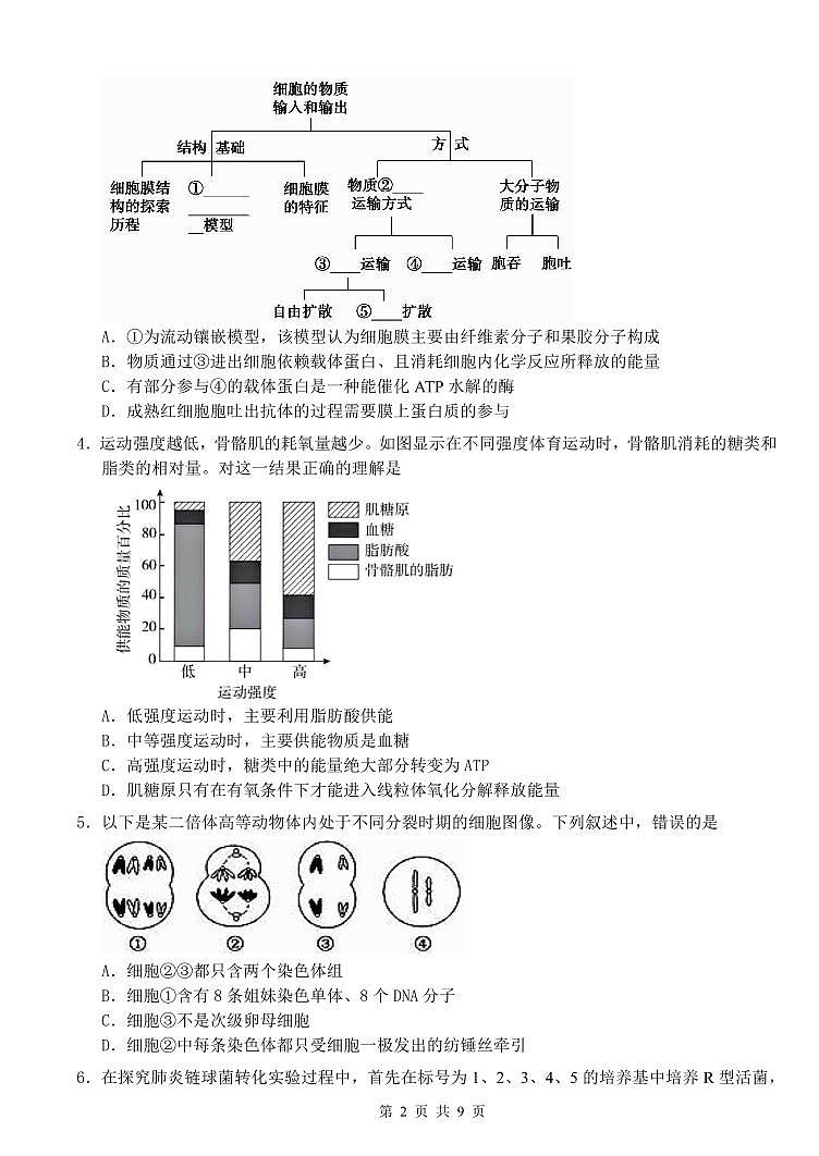 广西南宁市武鸣高级中学2023-2024学年高三上学期开学考试生物第2页