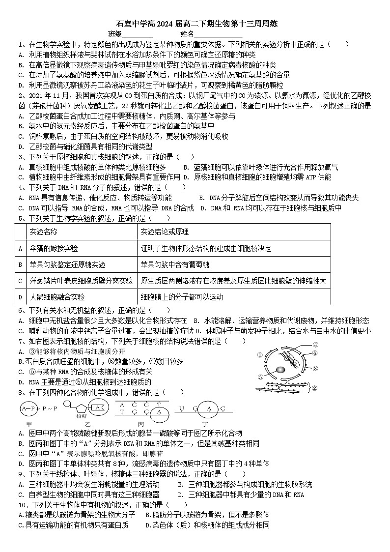 四川省成都市石室中学2022-2023学年高二下学期第13周生物周练第1页