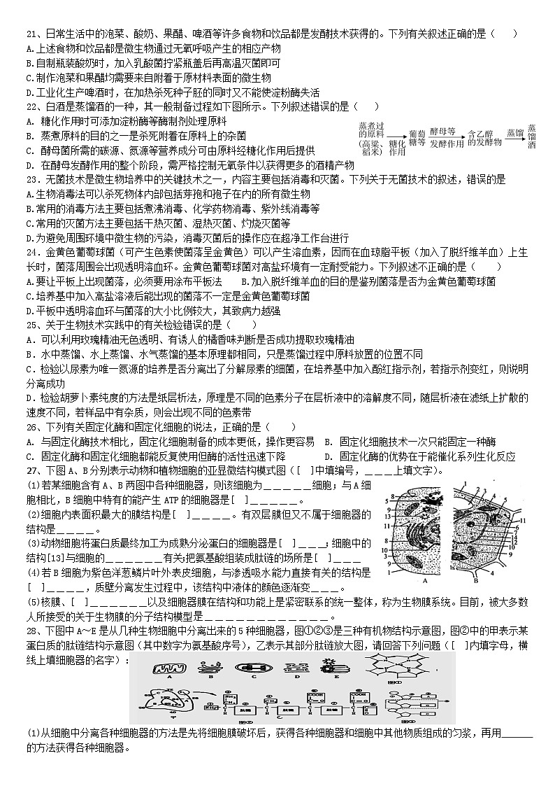 四川省成都市石室中学2022-2023学年高二下学期第13周生物周练第3页