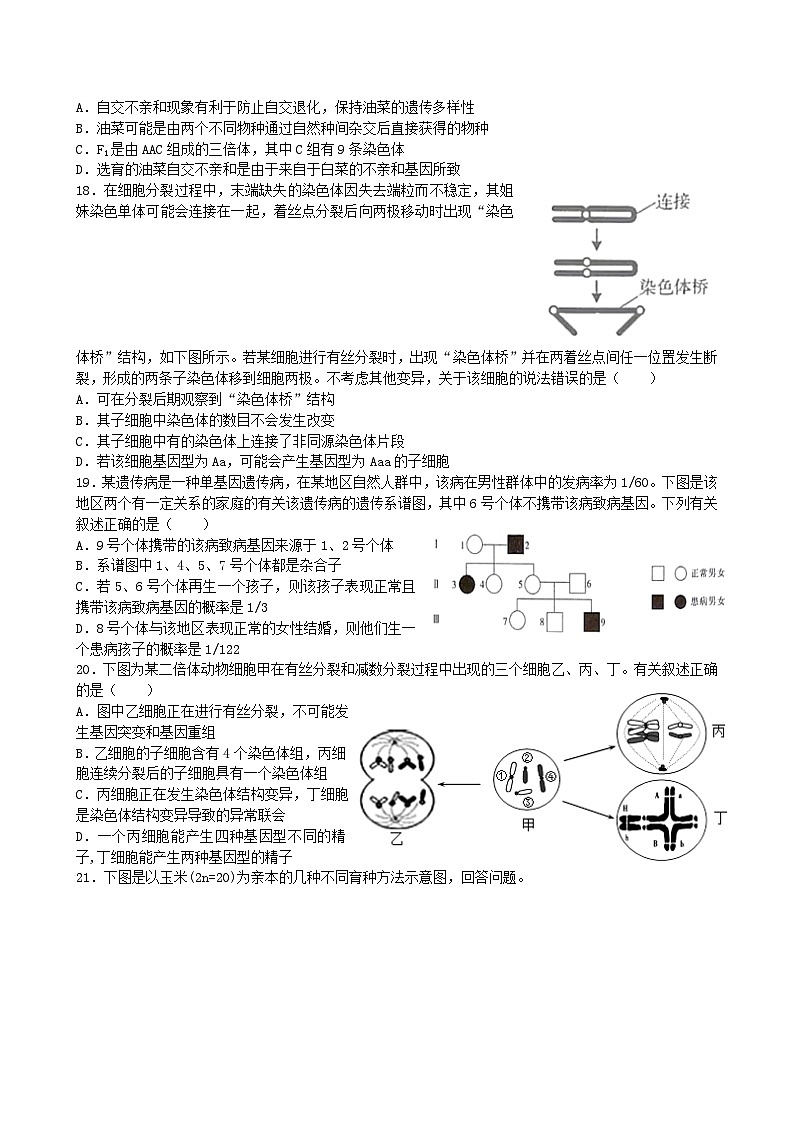 2022成都石室中学高二上学期生物周练01含答案第3页
