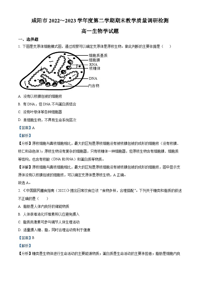 陕西省咸阳市2022-2023学年高一生物下学期期末试题（Word版附解析）01