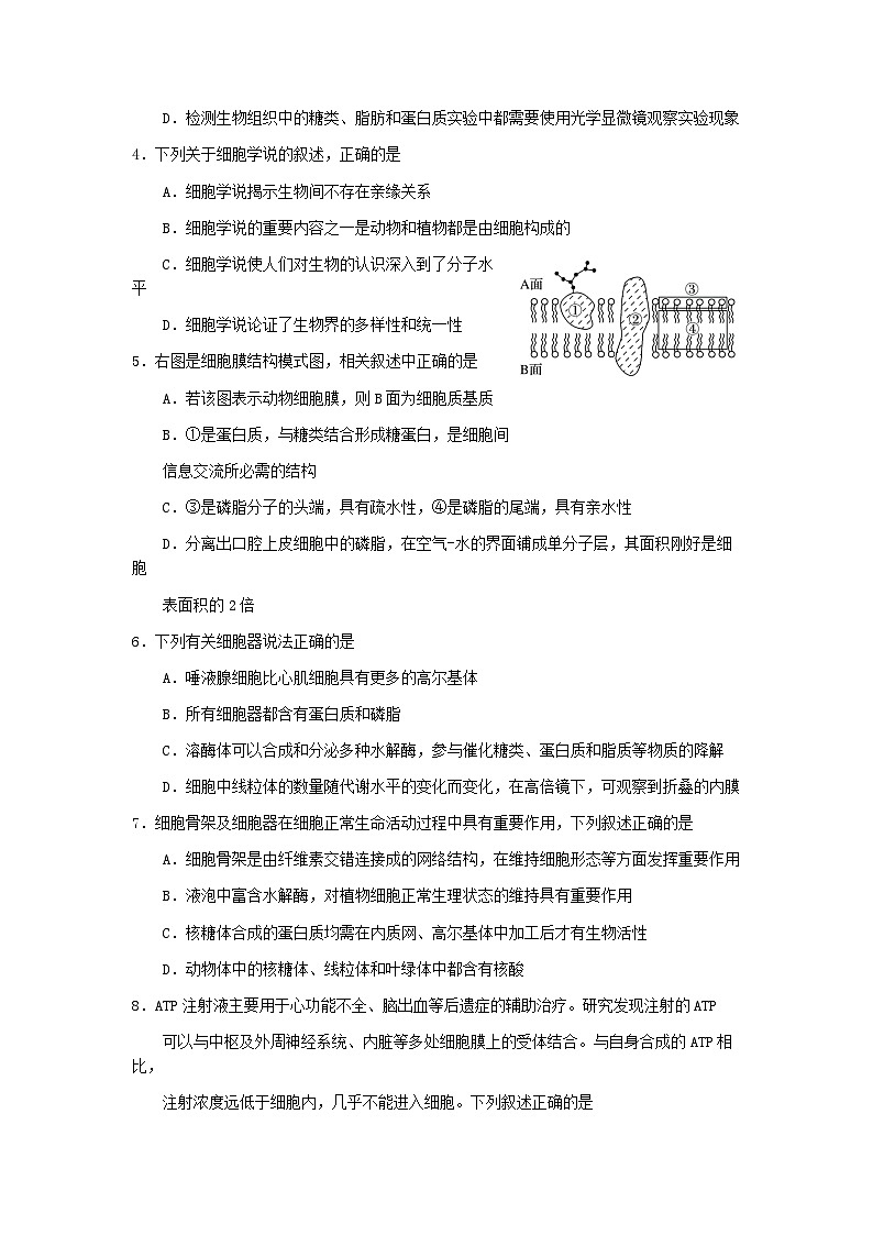 浙江省宁波市鄞州区2022-2023学年高一生物下学期期末考试试题（Word版附答案）第2页