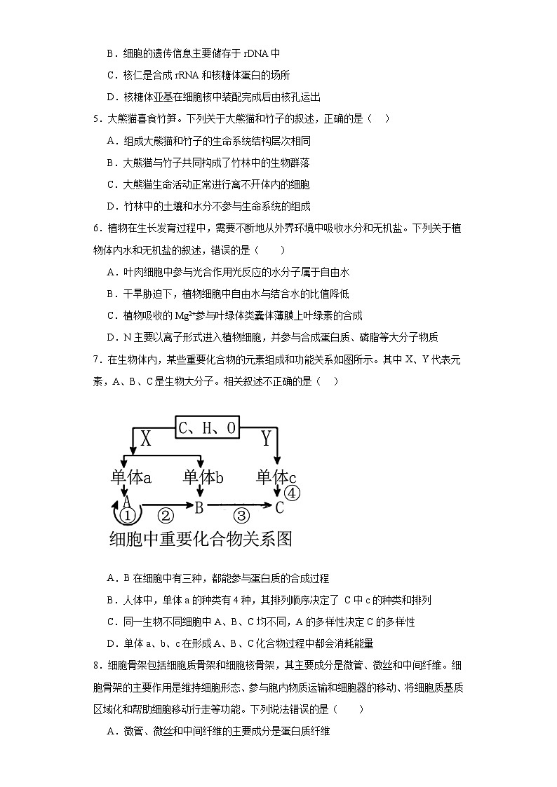 福建省华安县第一中学2023-2024学年高三上学期开学生物试题第2页