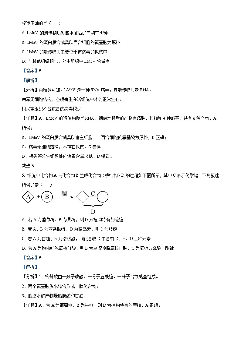 2024宣威三中高三上学期开学收心考试生物试题（8月）含解析03