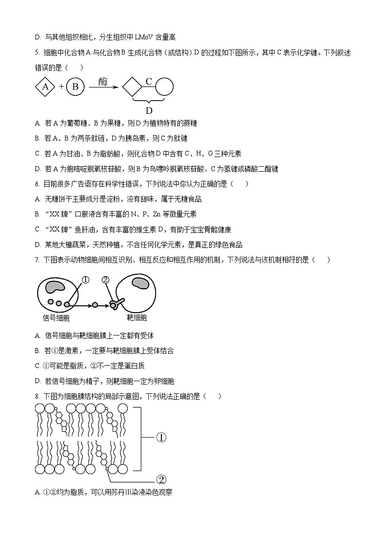 2024宣威三中高三上学期开学收心考试生物试题（8月）含解析02