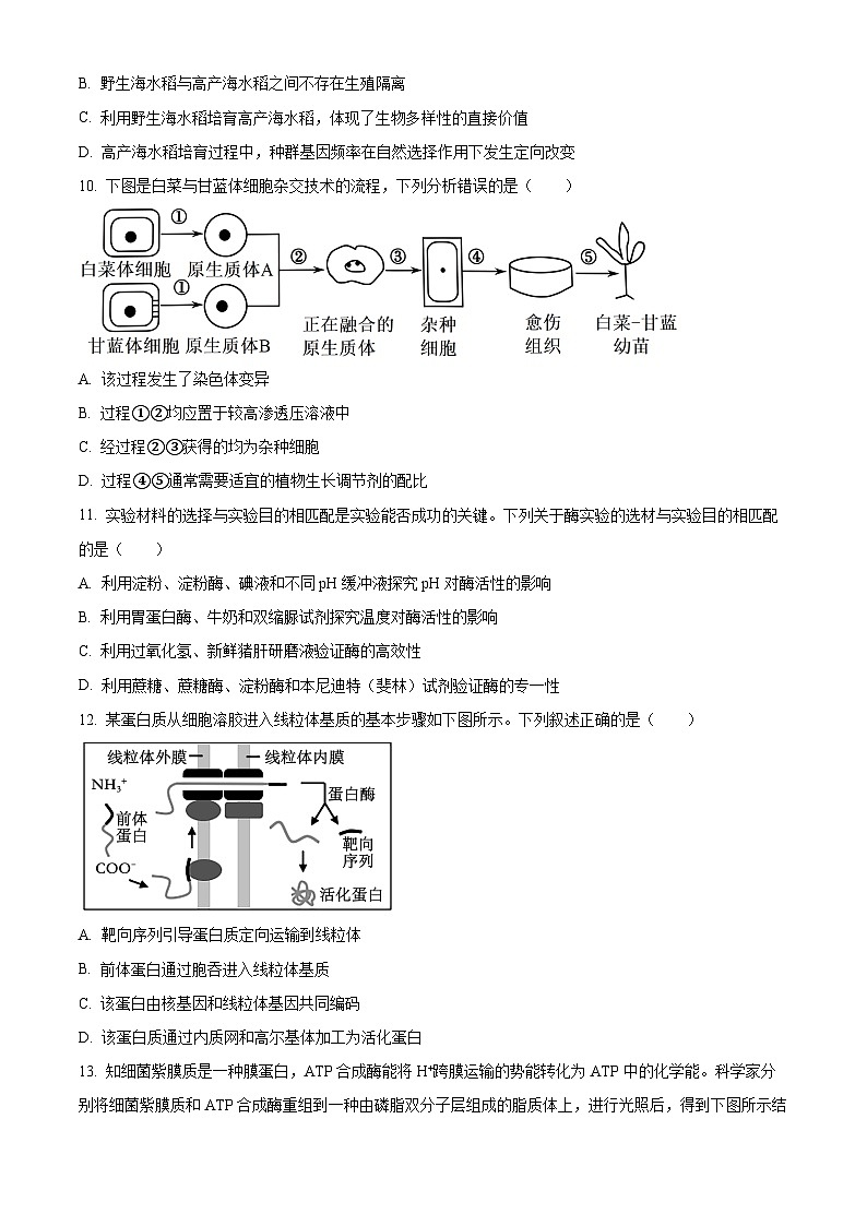 2024浙江省Z20联盟（浙江省名校新高考研究联盟）高三上学期第一次联考生物试题含解析03