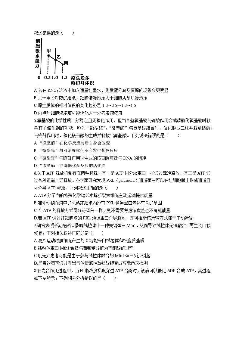 2023泰安宁阳县高三上学期期中考试生物试题无答案02