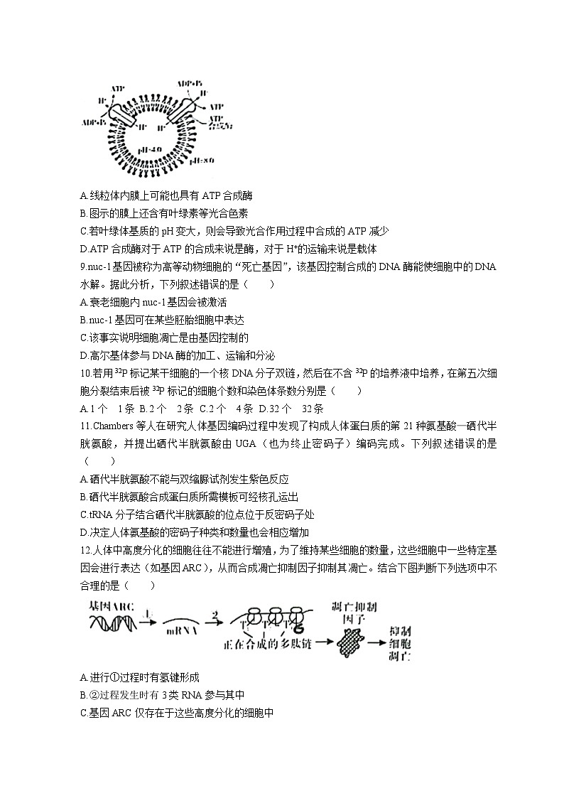 2023泰安宁阳县高三上学期期中考试生物试题无答案03