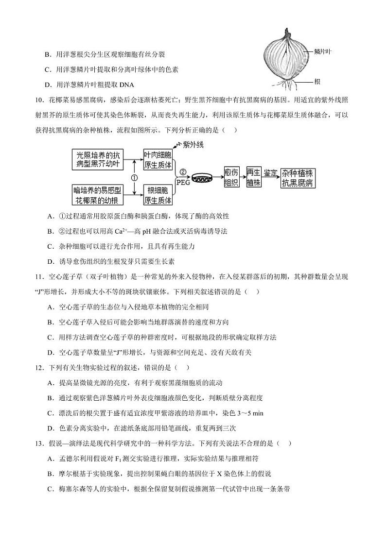 江苏省南通市如皋市2023-2024学年高三上学期期初考试押题生物第3页