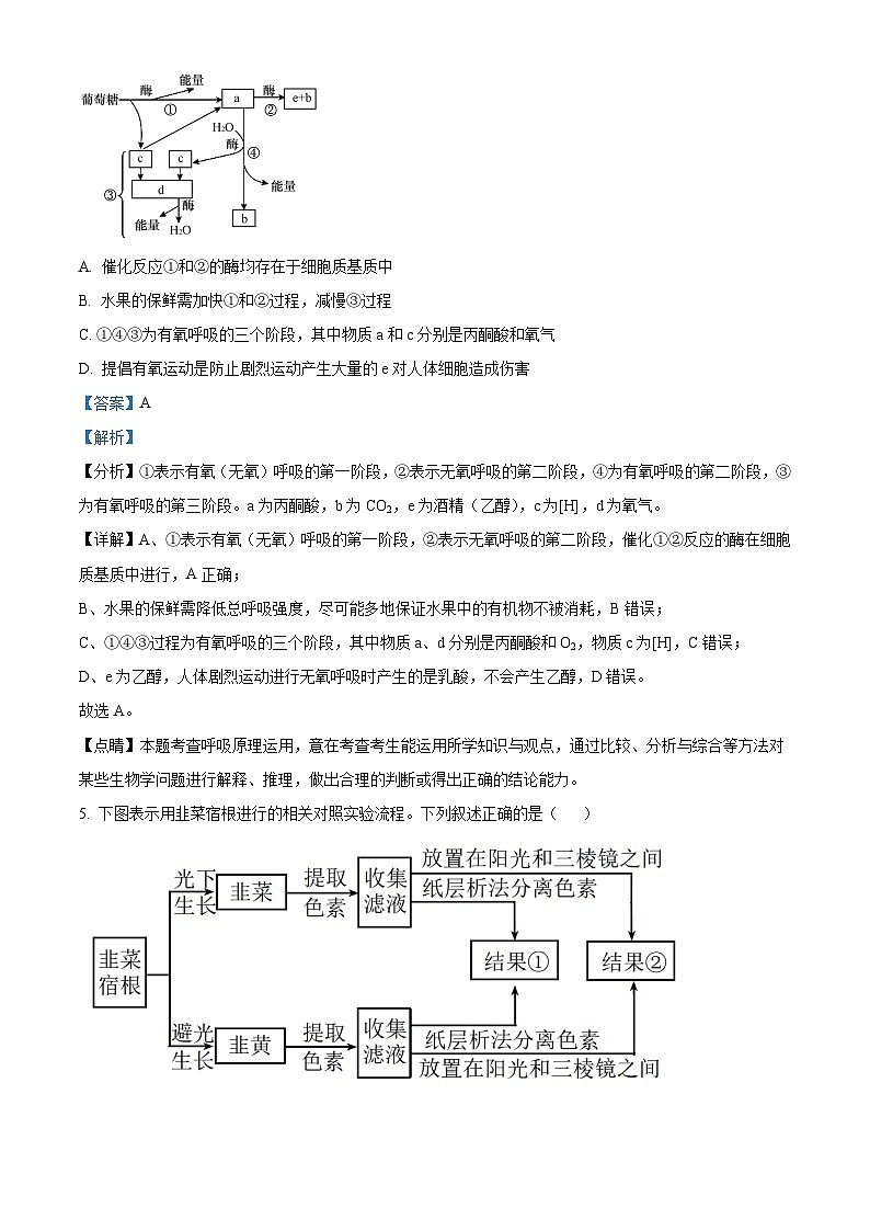 2024长沙长郡中学高二上学期入学考试生物试题含解析03